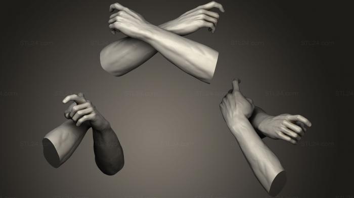 Анатомия скелеты и черепа (Мужские руки 20, ANTM_0836) 3D модель для ЧПУ станка